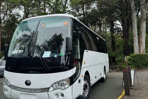 Hop on Hop off - Brisbane City - The Heart of Brisbane