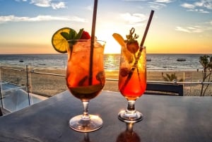 Moreton Island: Desert Safari Tour & Dolphin Viewing