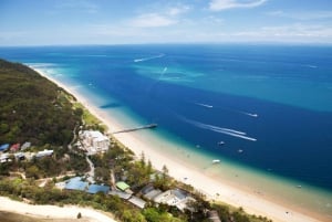 Moreton Island: Desert Safari Tour & Dolphin Viewing