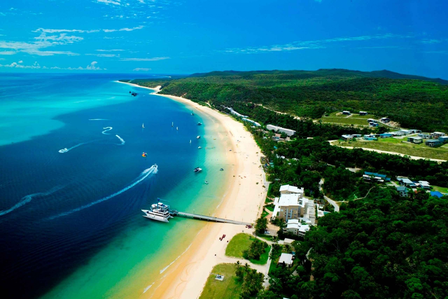 Moreton Island: Marine Discovery Cruise & Dolphin Feeding