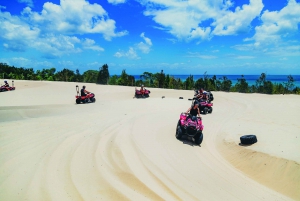Moreton Island: Tangalooma ATV Quad Bike & Dolphin Feeding