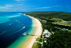 Moreton Island: Tangalooma ATV Quad Bike & Dolphin Feeding