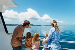 Moreton Island: Tangalooma Day Trip with Desert Safari