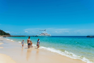 Moreton Island: Tangalooma Day Trip with Desert Safari