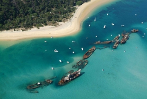 Moreton Island: Tangalooma Day Trip with Snorkeling Tour