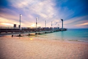 Moreton Island: Tangalooma Snorkel Tour with Helicopter Tour