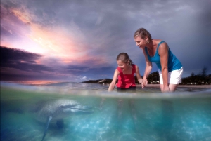 Moreton Island: Tangalooma Whale Watching & Dolphin Feeding