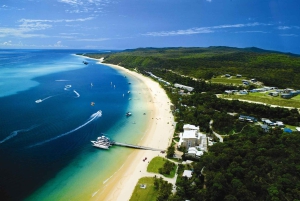 Moreton Island: Tangalooma Whale Watching & Dolphin Feeding