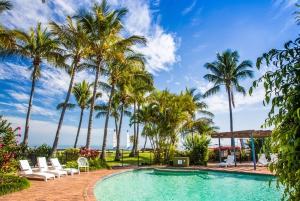 Moreton Island: Tangalooma Whale Watching & Dolphin Viewing