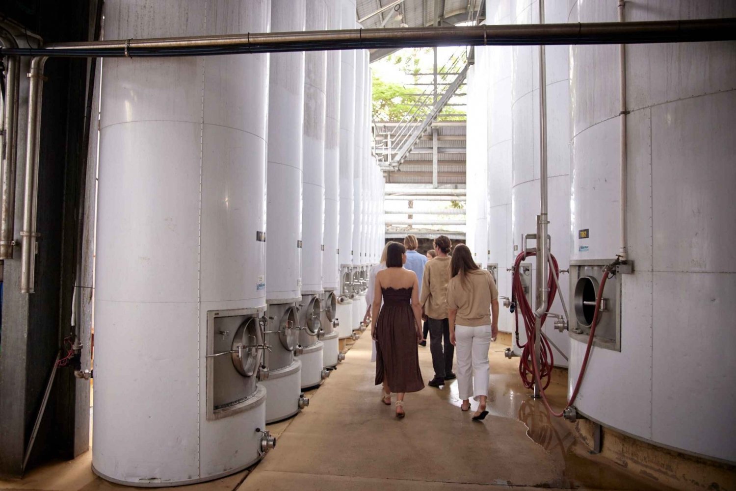 Mount Cotton: Winery Tour & Tasting with 3-Course Lunch