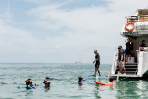 Brisbane: Moreton Island all inclusive Snorkeling Tour