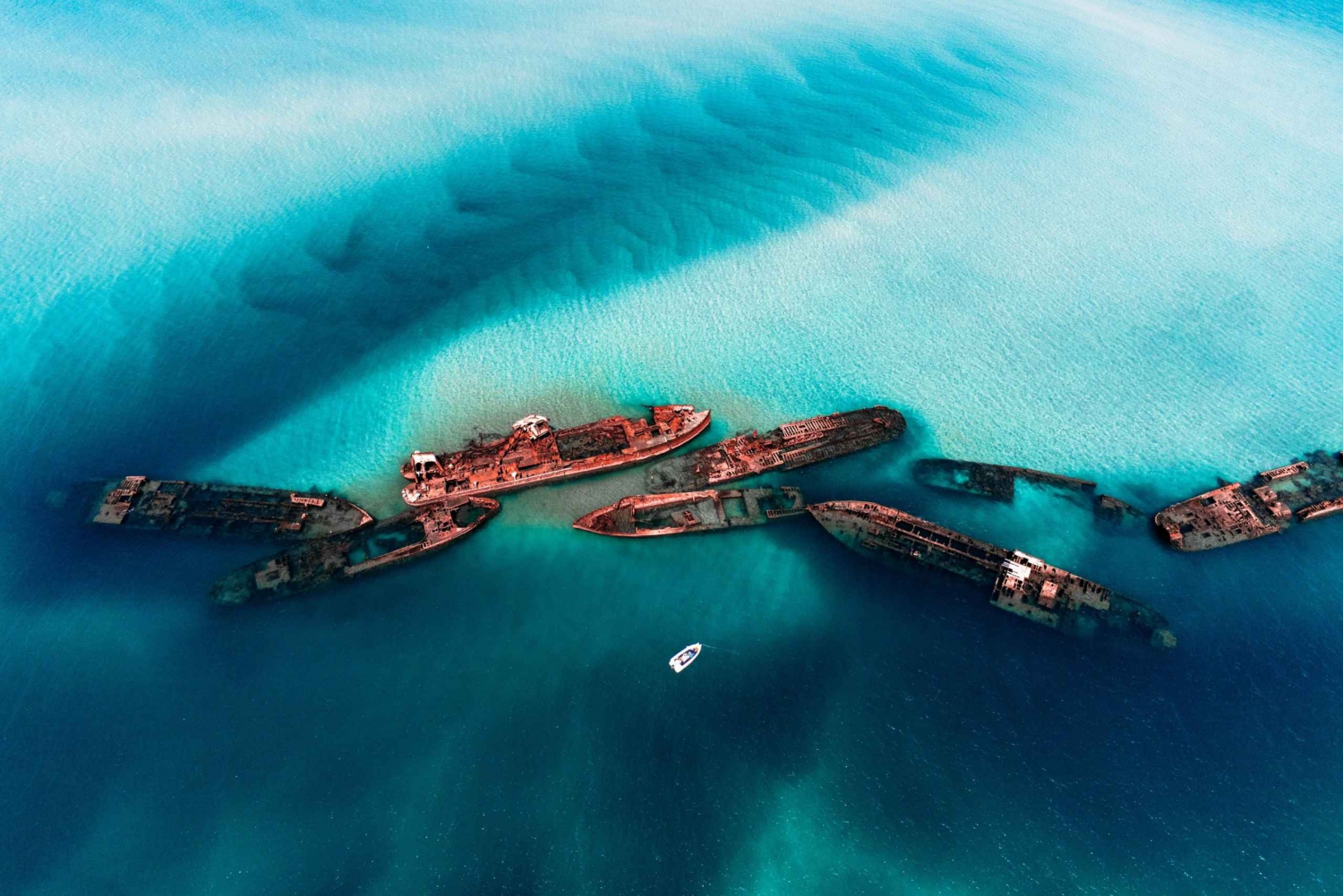 Brisbane: Moreton Island all inclusive Snorkeling Tour