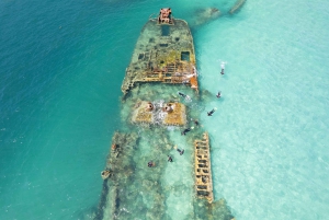 Brisbane: Moreton Island all inclusive Snorkeling Tour