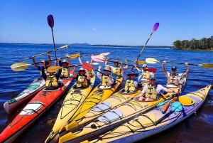 Noosa Everglades: Truly Sustainable Guided KAYAK Tour