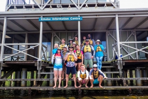 Noosa Everglades: Truly Sustainable Guided KAYAK Tour