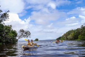 Noosa Everglades: Truly Sustainable Guided KAYAK Tour