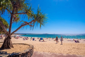 Noosa Heads and Eumundi Markets Private Tour from Brisbane