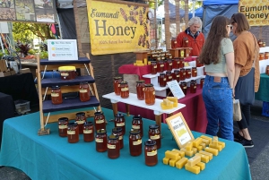 Noosa Heads and Eumundi Markets Private Tour from Brisbane