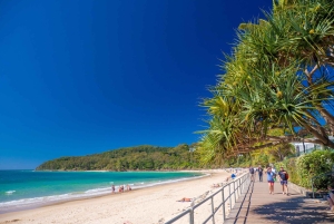 Noosa Heads and Eumundi Markets Private Tour from Brisbane