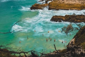 North Stradbroke Island: Ecotourism, Wildlife & Beaches