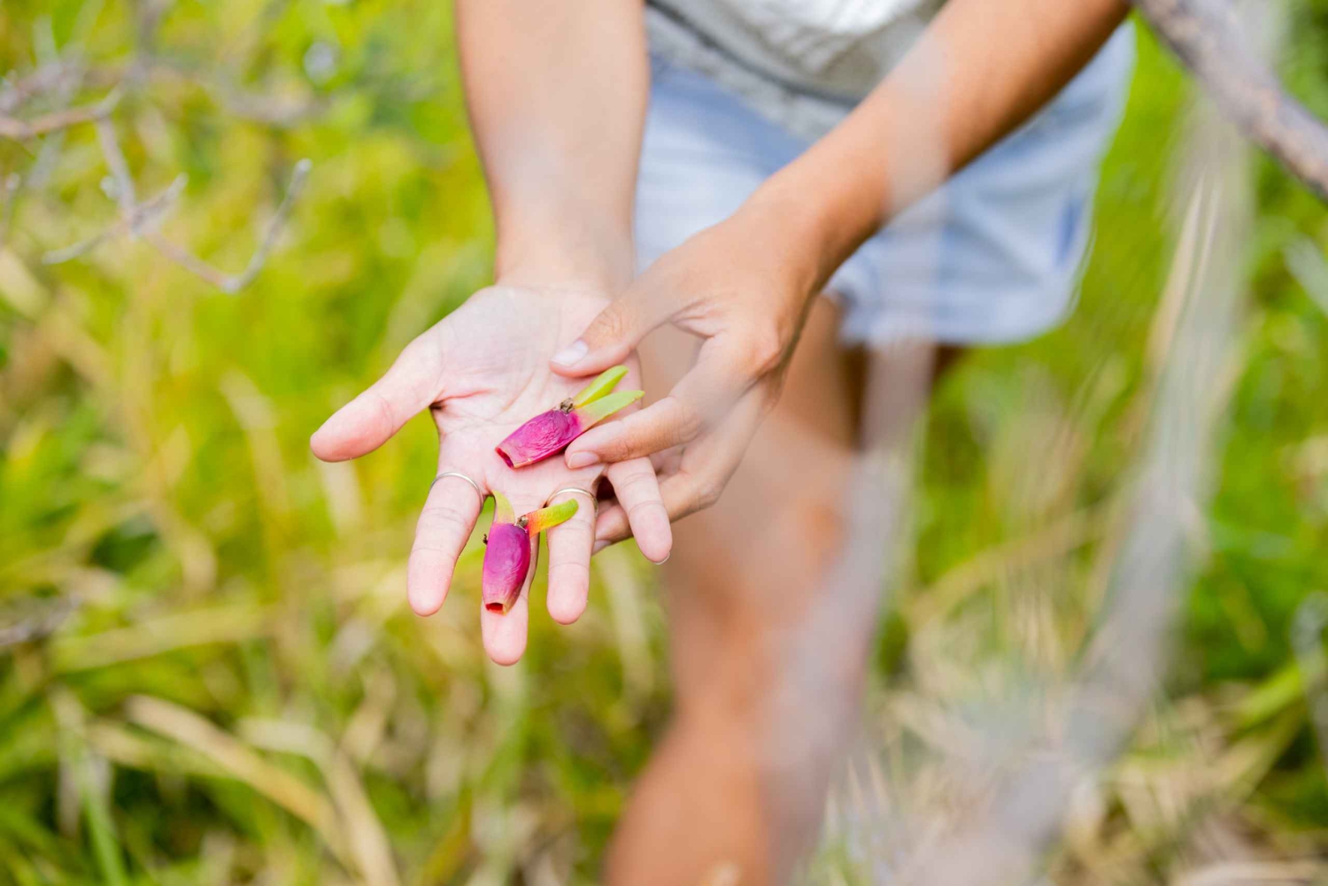 North Stradbroke Island: Minjerribah Cultural Driving Tour