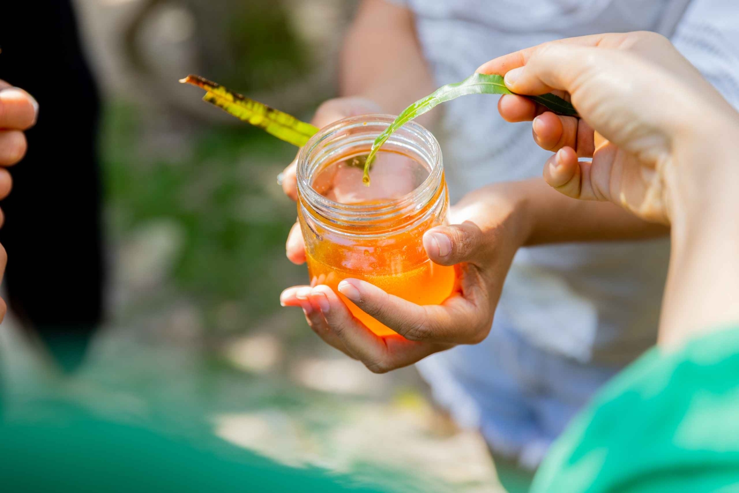 North Stradbroke Island: Minjerribah Cultural Driving Tour