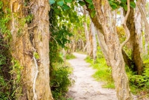 North Stradbroke Island: Minjerribah Cultural Driving Tour