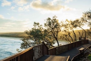 North Stradbroke Island Cultural Private Tour from Brisbane