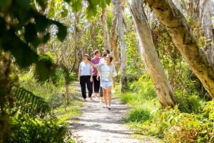 North Stradbroke Island Cultural Private Tour from Brisbane