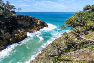 Brisbane to North Stradbroke Island Day: Wildlife & Beaches