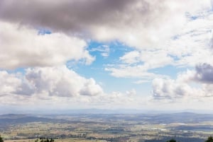 Brisbane: Rainforests, Waterfalls and Glow Worm Cave Tour