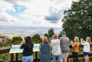 Brisbane: Rainforests, Waterfalls and Glow Worm Cave Tour