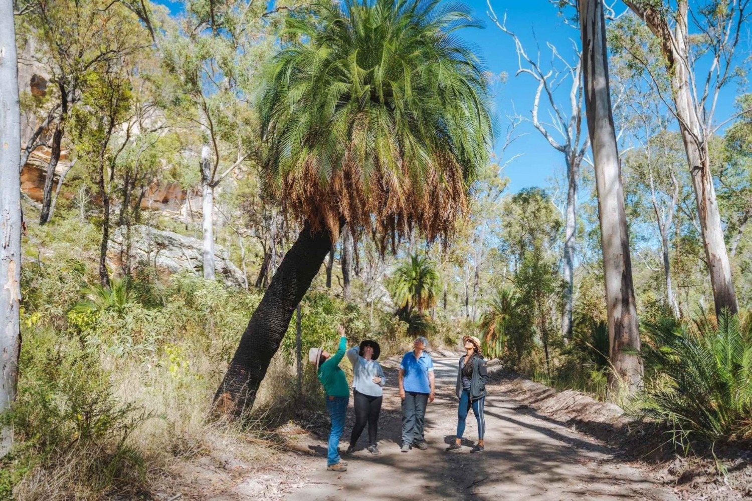 Roma: Lost World Carnarvons and Wallaroo Day Tour