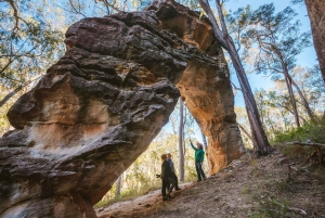 Roma: Lost World Carnarvons and Wallaroo Day Tour