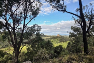 Roma: Lost World Carnarvons and Wallaroo Day Tour