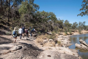 Roma: Lost World Carnarvons and Wallaroo Day Tour