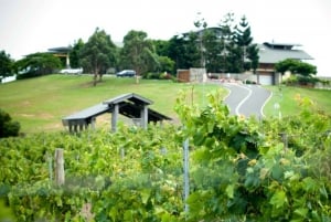 Sirromet Winery A Petit Pairing