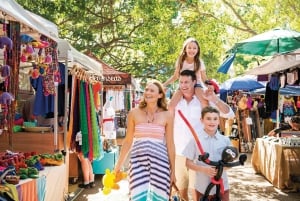 Sunshine Coast Hinterland and Noosa Small Group Tour