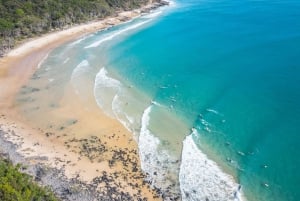 Brisbane: Sunshine Coast Hinterland & Noosa Small Group Tour