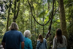 Brisbane: Sunshine Coast Hinterland & Noosa Small Group Tour