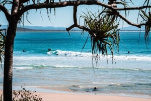 Brisbane: Sunshine Coast Hinterland & Noosa Small Group Tour