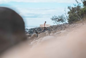 Brisbane: Sunshine Coast Hinterland & Noosa Small Group Tour