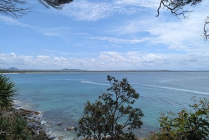 Sunshine Coast: Private Customizable Day Tour