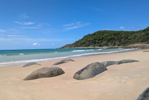 Sunshine Coast: Private Customizable Day Tour