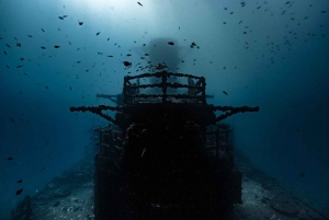 Sunshine Coast: Scuba Dive the Ex-HMAS Brisbane Ship Wreck