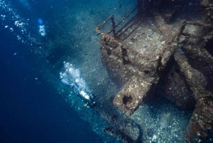 Sunshine Coast: Scuba Dive the Ex-HMAS Brisbane Ship Wreck