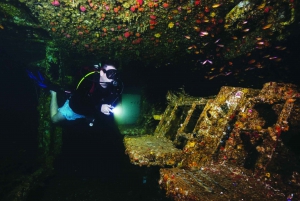 Sunshine Coast: Scuba Dive the Ex-HMAS Brisbane Ship Wreck