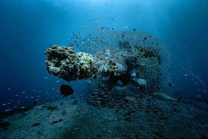 Sunshine Coast: Scuba Dive the Ex-HMAS Brisbane Ship Wreck