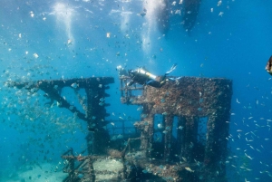 Sunshine Coast: Scuba Dive the Ex-HMAS Brisbane Ship Wreck