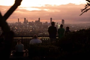 6 Hours Brisbane Private Tour - Popular Sights in One Day